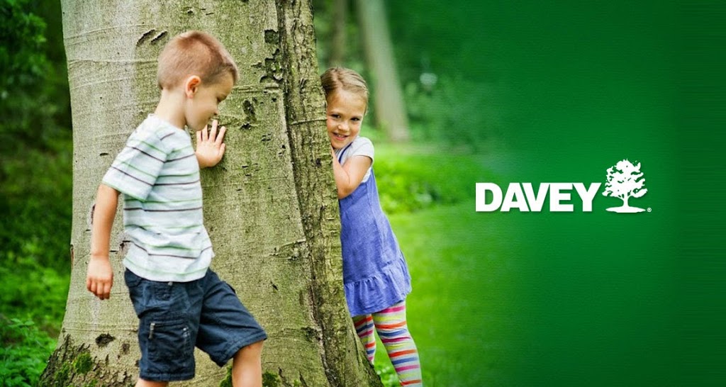 Davey Tree Expert Co. of Canada, Limited | 14 Riverview Pl #2, Kitchener, ON N2B 3X8, Canada | Phone: (519) 570-9341