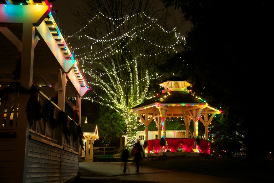 FestiLight Victoria - Christmas Light Installation | 426 William St, Victoria, BC V9A 3Y9, Canada | Phone: (855) 733-7845