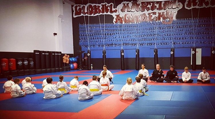 Global Martial Arts Academy | 1200 Stone Church Rd E, Hamilton, ON L8W 2C7, Canada | Phone: (905) 389-2222