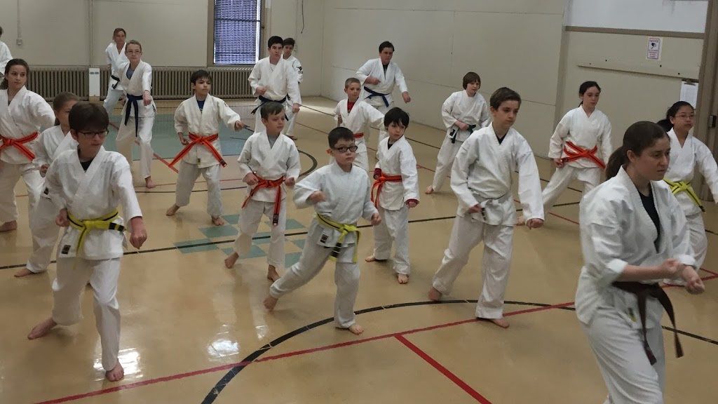 Karate-do Shotokai | 230 Pleasant St, Dartmouth, NS B2Y 3R8, Canada | Phone: (902) 223-7104