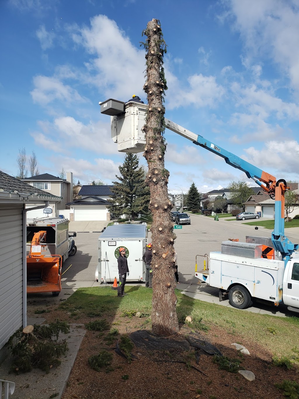 Prairie Woodlands Tree Care Ltd. | 264098, Range Rd 13, Airdrie, AB T4B 5B7, Canada | Phone: (587) 600-8936