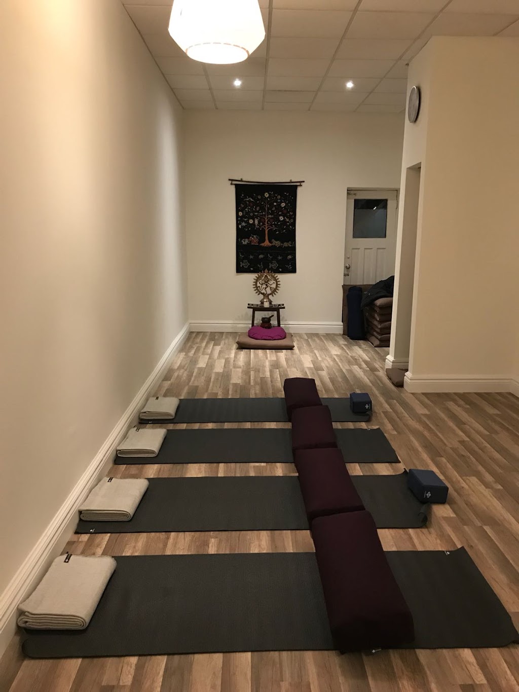 Ananta Yoga Centre | Toronto | 1125 St Clair Ave W, Toronto, ON M6E 1B1, Canada | Phone: (647) 573-6326