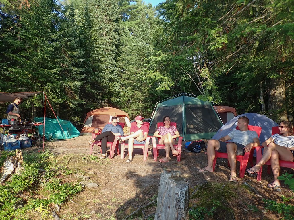 Algonquin Park Adventure Tours | 1023 Cooper Lake Rd, Dwight, ON P0A 1H0, Canada | Phone: (705) 783-7566