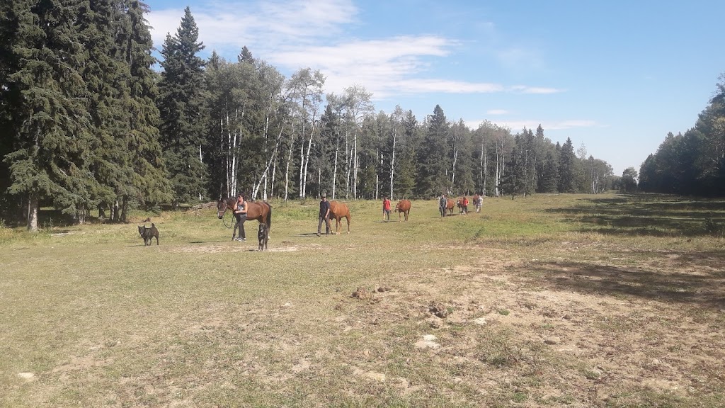 Painted Warriors Ranch | 31341 RR 5.1, AB T0M 0R0, Canada | Phone: (403) 637-9138