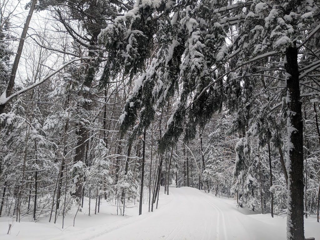 Lac Jérôme Natural Park | Saint-Jérôme, QC J7Y 5H4, Canada