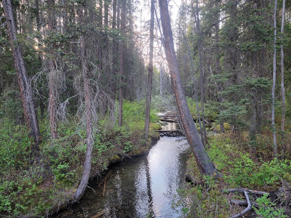 Lake Louise Hardsided Campground | Fairview Rd, Lake Louise, AB T0L, Canada | Phone: (877) 737-3783