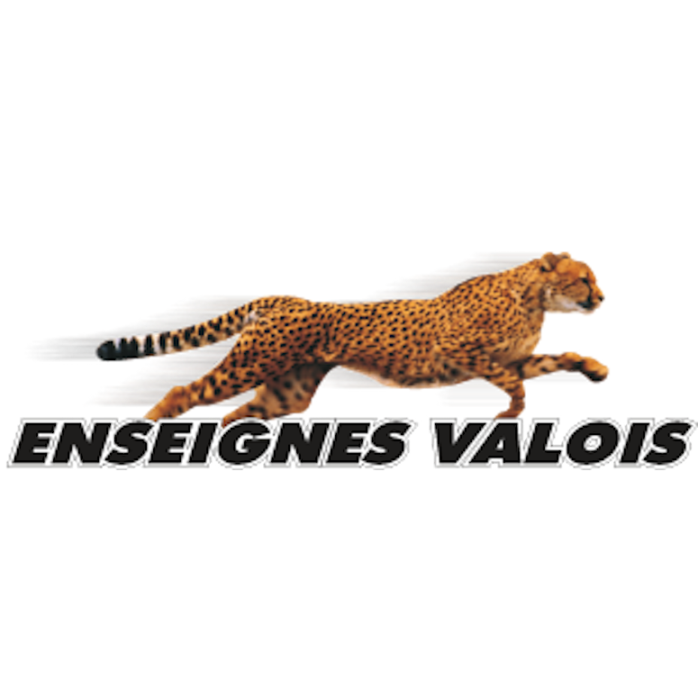 Enseignes Valois | 1805 Rue Guillet, Laval, QC H7L 5B1, Canada | Phone: (450) 687-0066