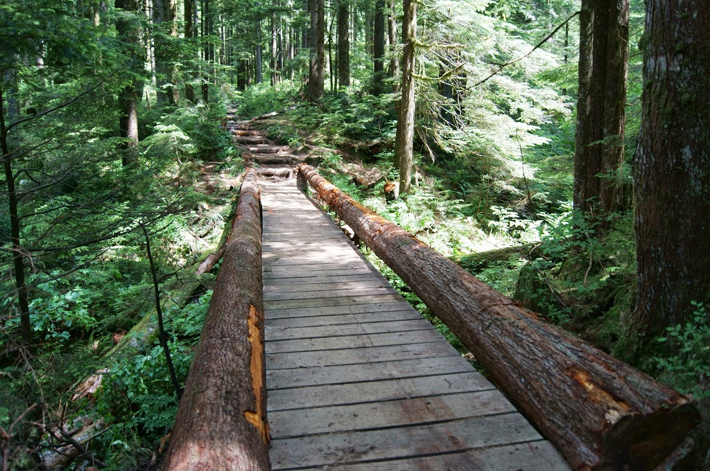 Lynn Headwaters Regional Park | 4900 Lynn Valley Rd, North Vancouver, BC V7K 3B2, Canada | Phone: (604) 224-5739