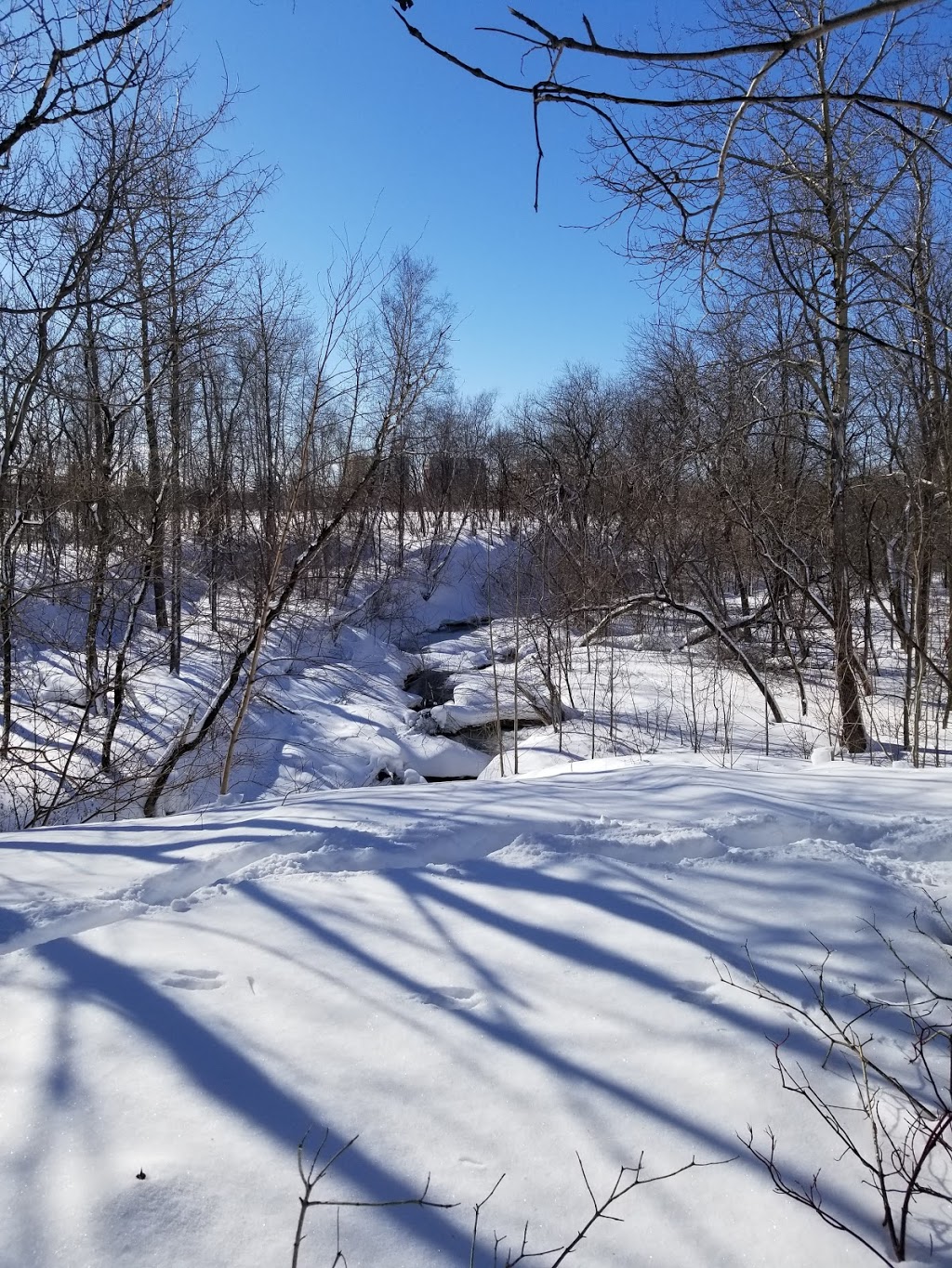 Parc de la Rivière Beauport Sud | Unnamed Road, Québec, QC G1E 4S8, Canada