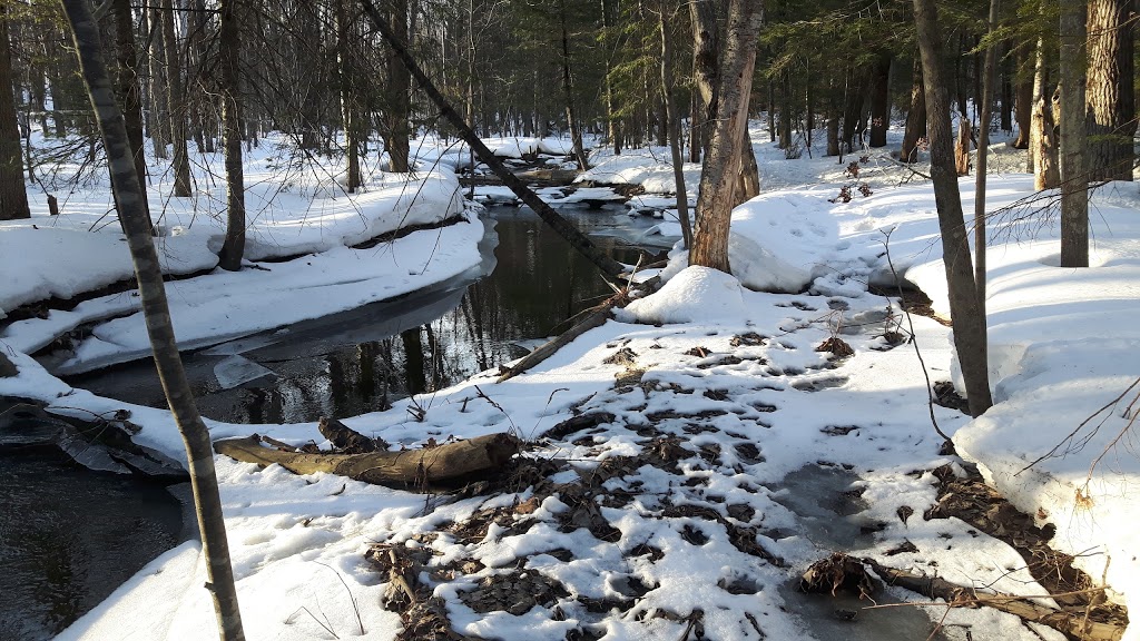 Parc de la Symphonie | 1672 Rue André-Prévost, Saint-Jérôme, QC J7Z 7H6, Canada