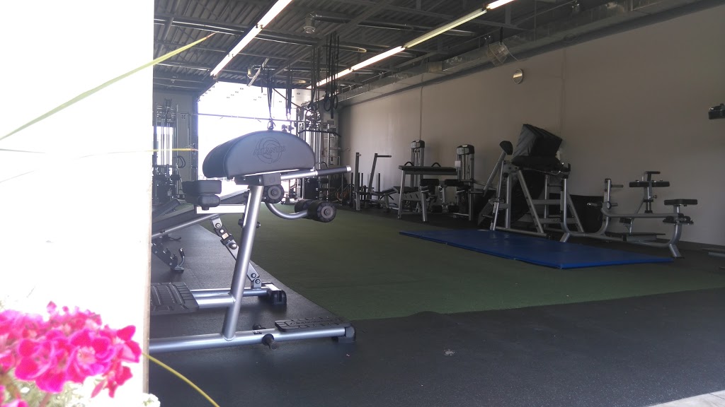 The Healthy Gym | 279 Kerman Ave, Grimsby, ON L3M 3W3, Canada | Phone: (905) 309-3259