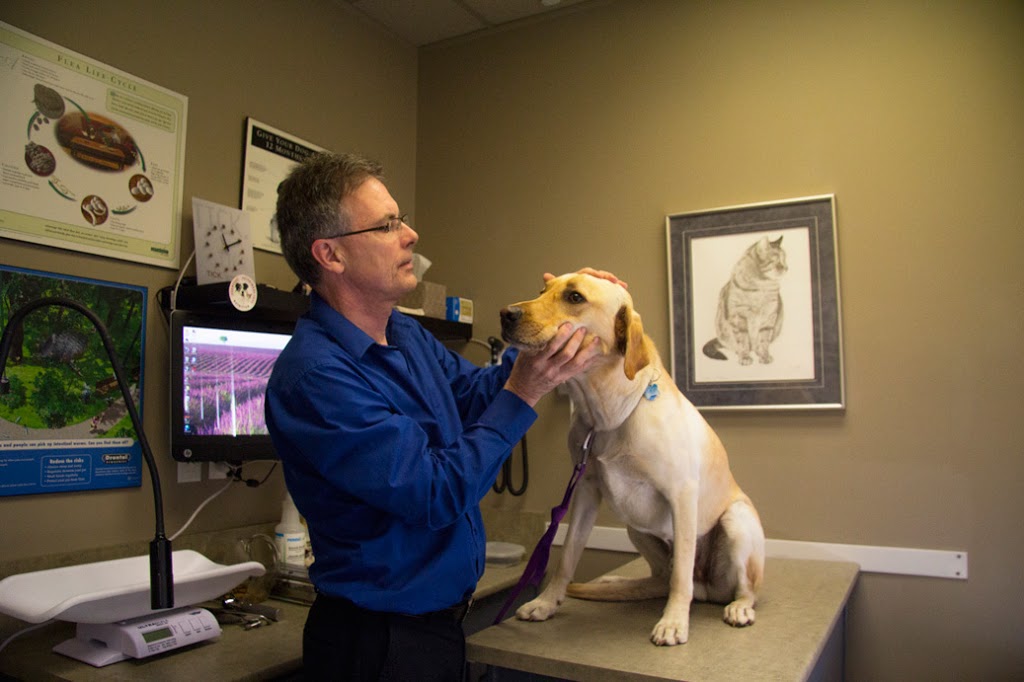 Coast Meridian Animal Hospital Ltd | 1471 Prairie Ave, Port Coquitlam, BC V3B 1T3, Canada | Phone: (604) 941-0377