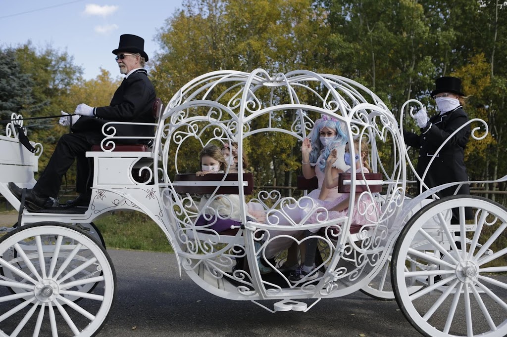 Iron Horse Turtle Ranch Carriage and Sleigh Service | 51222 RR# 224, Sherwood Park, AB T8C 1H3, Canada | Phone: (780) 718-7734