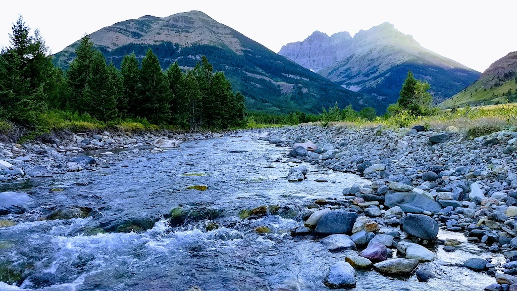 Crandell Mountain Campground | Waterton Park, AB T0K 2M0, Canada | Phone: (888) 773-8888