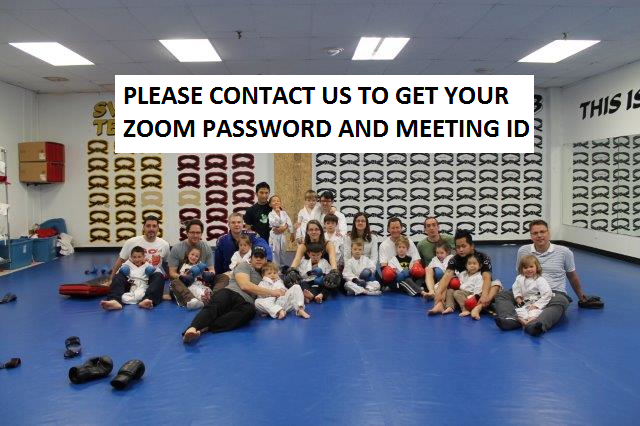 Zoom Kids Karate | 35 Keremeos Crescent, Richmond Hill, ON L4C 9R9, Canada | Phone: (416) 938-3077