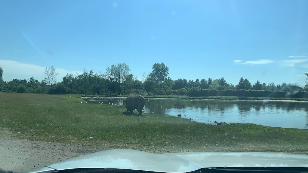 Cambridge New Hope Cemetery | Cooper Rd, Cambridge, ON N1R 5S2, Canada | Phone: (519) 658-4366