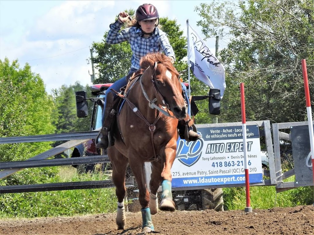 Ranch Analy | 14 rang 5 Est, Saint-François-Xavier-de-Viger, QC G0L 3C0, Canada | Phone: (418) 860-8854