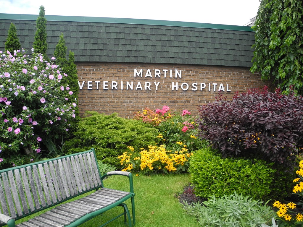 Martin Veterinary Hospital | 5460 Dundas St W, Etobicoke, ON M9B 1B4, Canada | Phone: (416) 239-7709