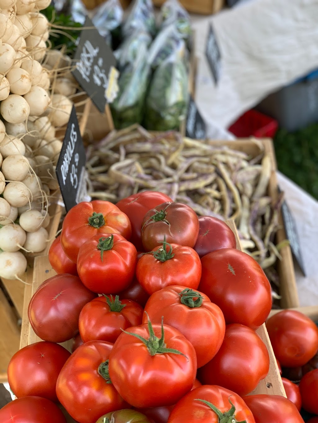 Ferme Larkspur Farm | 550 Chem. River, LAnge-Gardien, QC J8L 0M3, Canada | Phone: (873) 288-4140