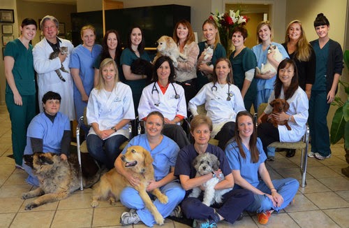 Amherst Veterinary Hospital | 260-2083 Alma St, Vancouver, BC V6R 4N6, Canada | Phone: (604) 221-7771