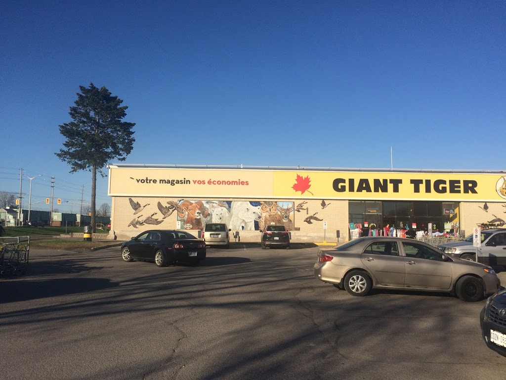 Giant Tiger | 2480 Walkley Rd, Ottawa, ON K1G 6A9, Canada | Phone: (613) 526-2416