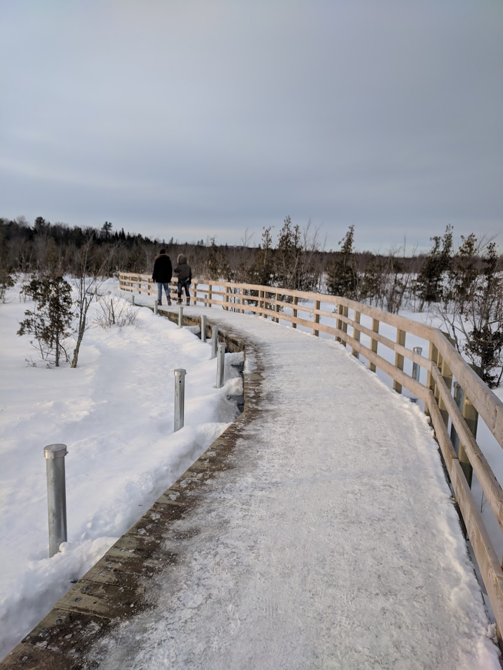 Centre dinterprétation du Marais | 69 Chemin Roy, Magog, QC J1X 0N4, Canada | Phone: (819) 843-8118