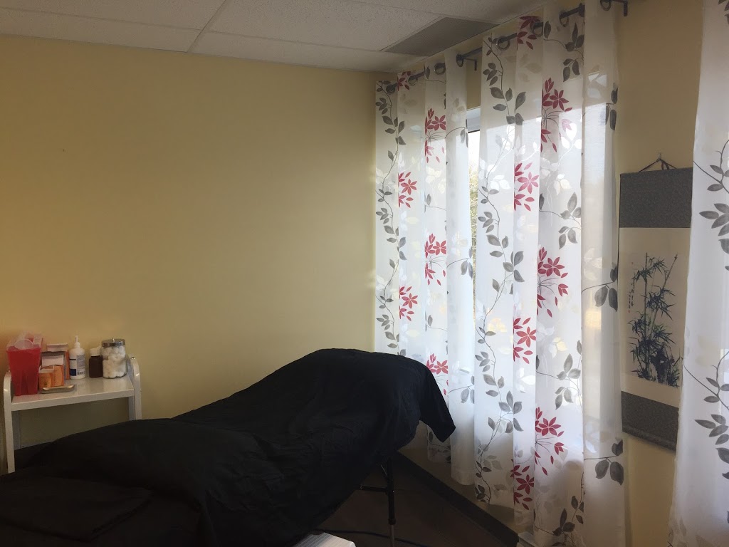 Acupuncture Sara-Claude Poirier - Clinique Alternative - Cliniqu | 1150 107e Rue suite 202, Saint-Georges, QC G5Y 8C3, Canada | Phone: (418) 228-7711