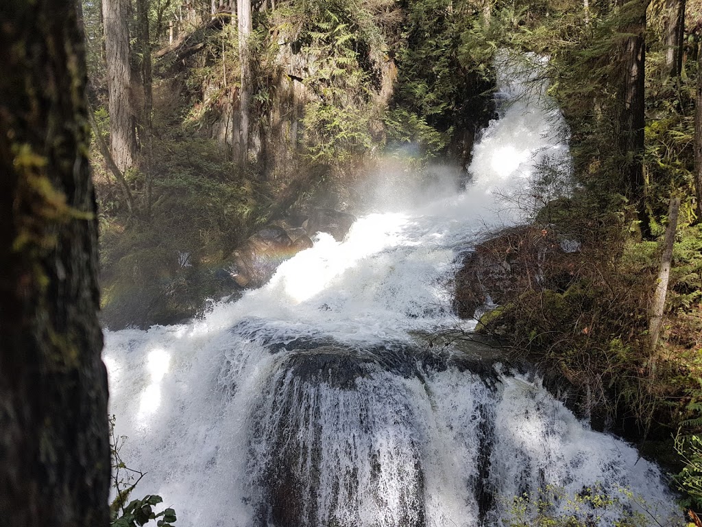 Hayward Lake Recreation Area | Mission, BC V4S 1C4, Canada