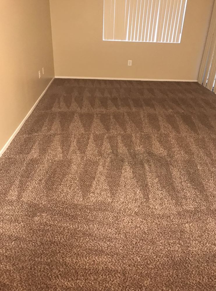 Six Carpet Cleaning of Oakville | 2348 Lakeshore Rd W, Oakville, ON L6L 1H5, Canada | Phone: (289) 206-6054