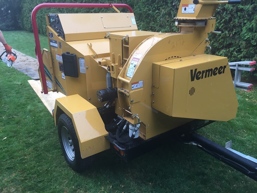 Vermeer Canada Inc | 10 Indell Ln, Brampton, ON L6T 3Y3, Canada | Phone: (905) 793-9339