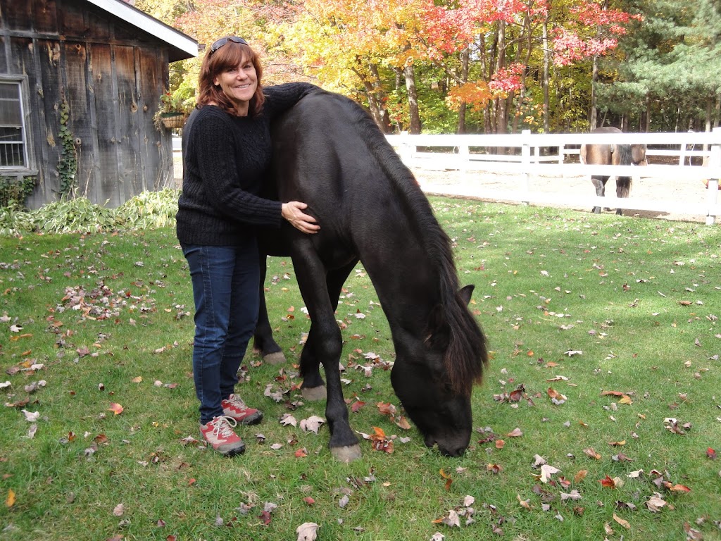 Maple Farm Canadians | 1490 Rue Blueberry Forest, Saint-Lazare, QC J7T 2K1, Canada | Phone: (514) 232-9052