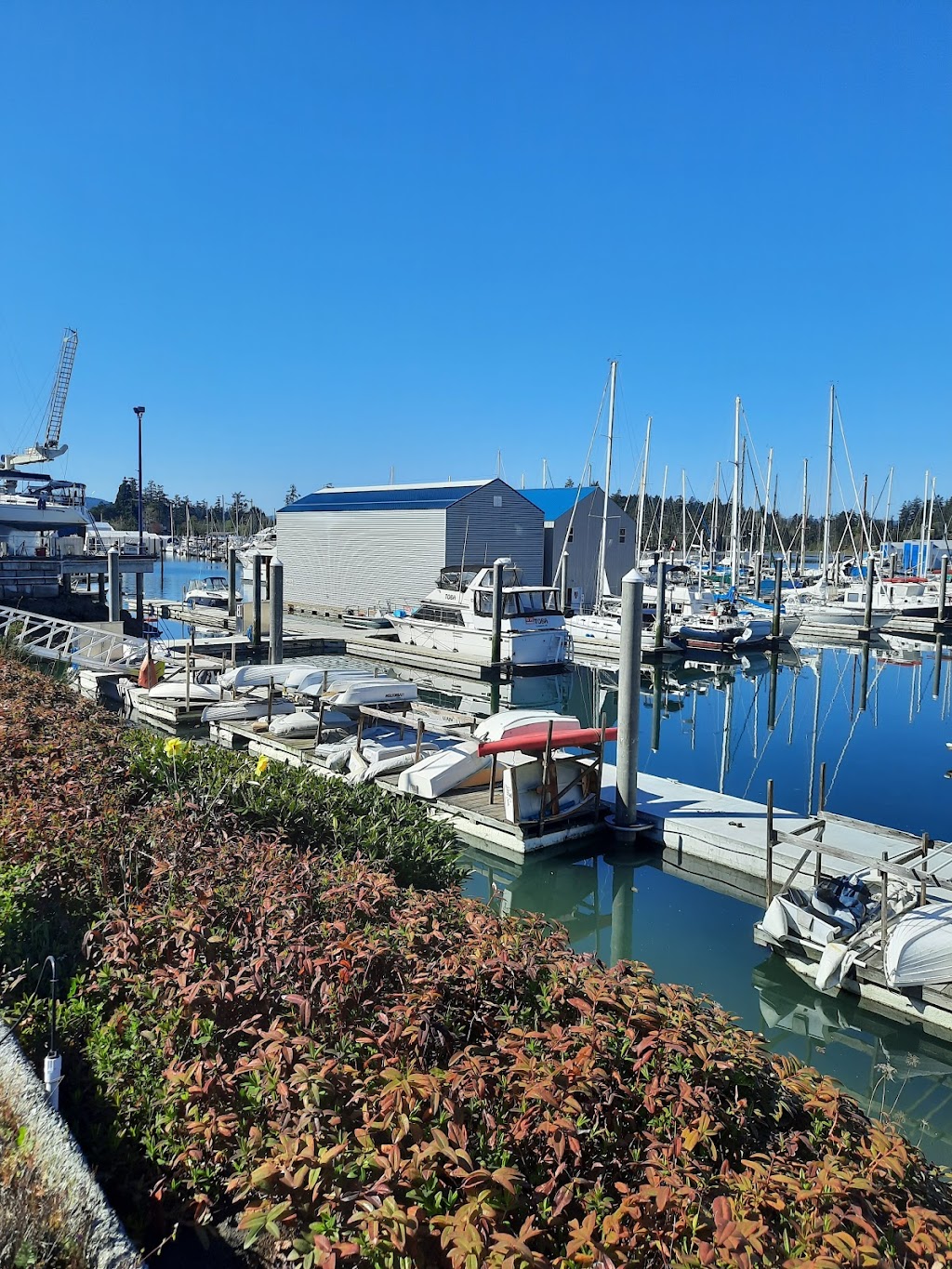 Westport Marina | 2075 Tryon Rd, Sidney, BC V8L 3X9, Canada | Phone: (250) 656-2832