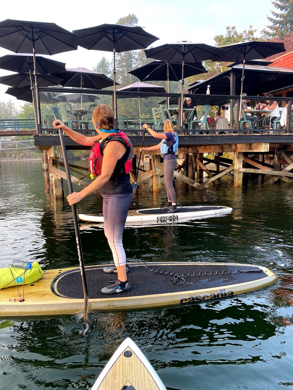 Blue Jellyfish SUP Adventures | 72300 Canoe Cove Rd, North Saanich, BC V8L 3X9, Canada | Phone: (778) 351-2583