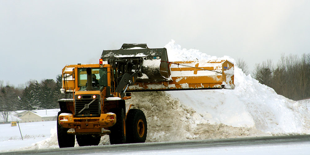 Essential Landscaping Ltd. | 19-1 Marconi Ct, Bolton, ON L7E 1E2, Canada | Phone: (905) 857-5296