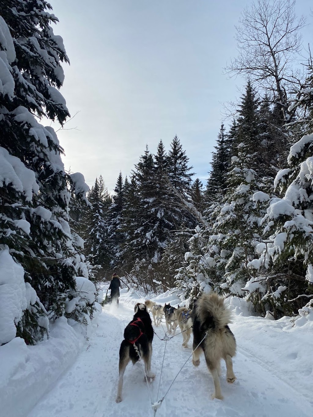 Galeox univers | 1150 chemin des Bêtes Puantes, Trois-Rives, QC G0X 2C0, Canada | Phone: (819) 801-8773