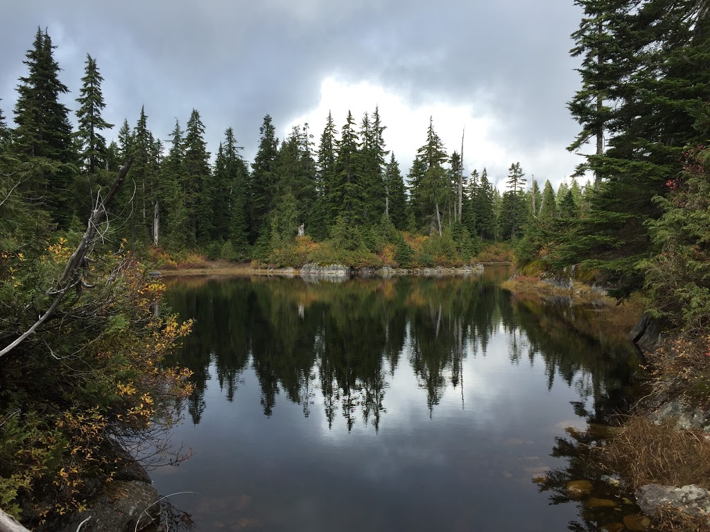 Pinecone Burke Provincial Park | Village Lake Trail, Coquitlam, BC V3E 3H1, Canada | Phone: (800) 689-9025