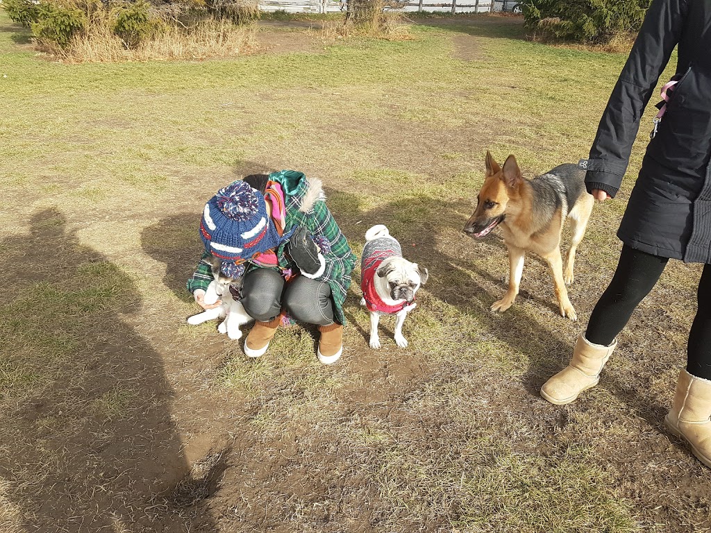 Off-Leash Dog Park | 1785 McNicoll Ave, Scarborough, ON M1V 3S8, Canada