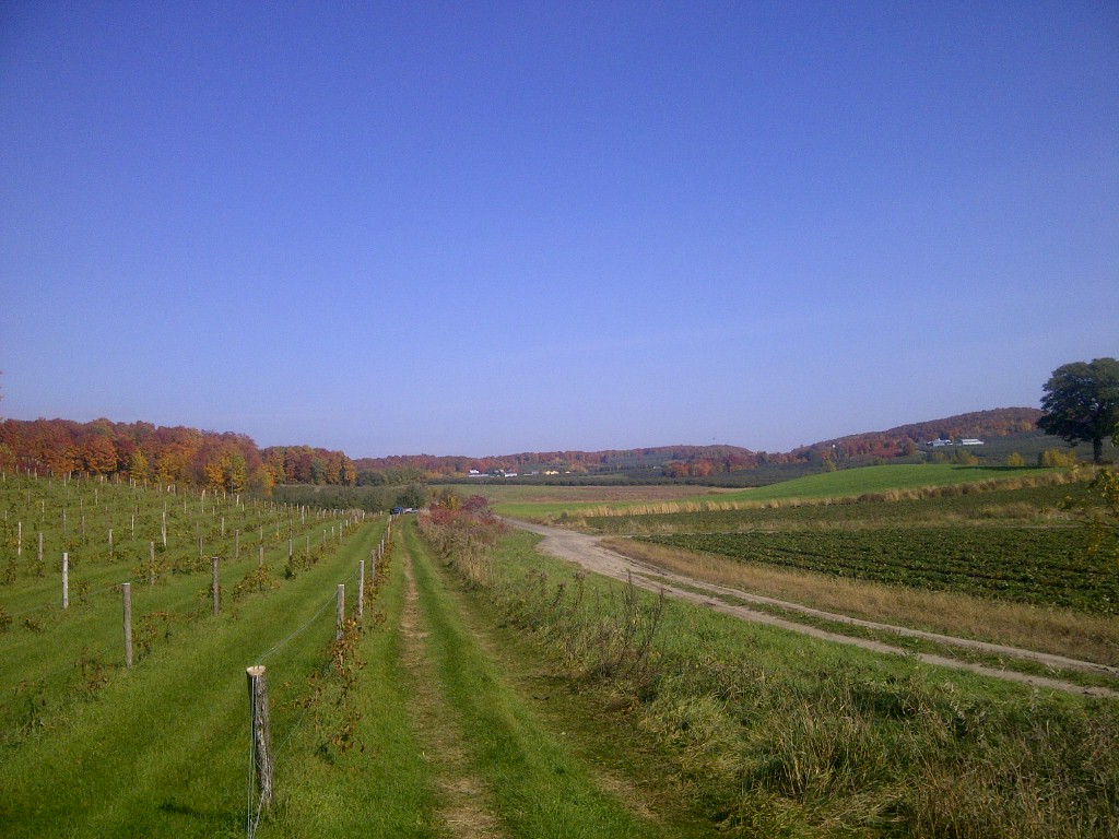 Jardin DEmmanuel Verger Mariage Vignoble | 153 Rang Sainte-Sophie, Oka, QC J0N 1E0, Canada | Phone: (438) 868-4497