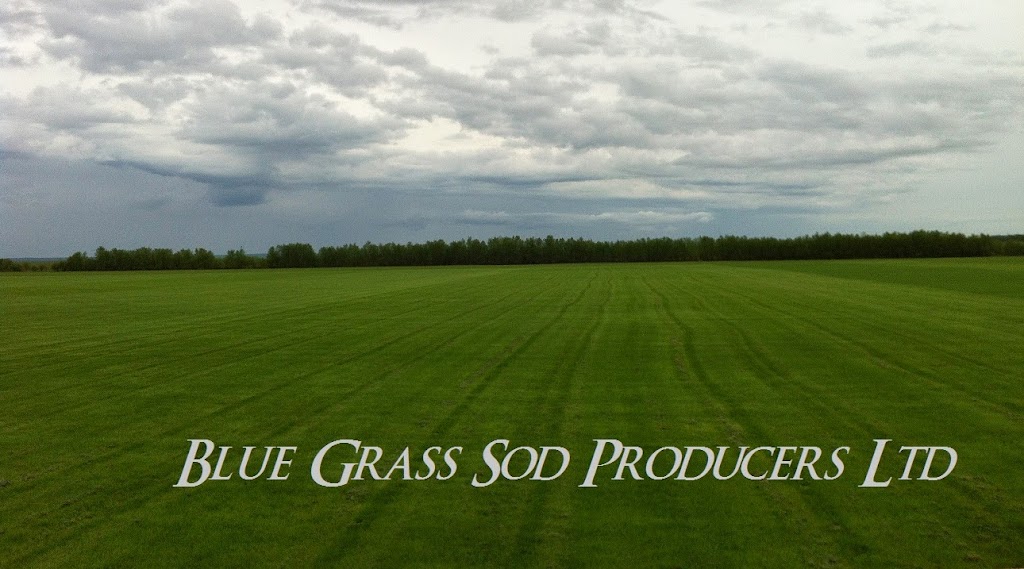 Blue Grass Sod Producers Ltd | 1278 Marchand Rd, Howden, MB R5A 1J6, Canada | Phone: (204) 269-3052