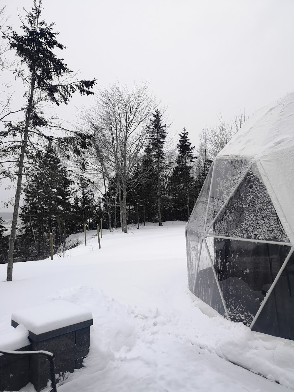 Gravity Luxury Domes | 9425 Highway 215, Maitland, NS B0N 2H0, Canada | Phone: (902) 899-8889