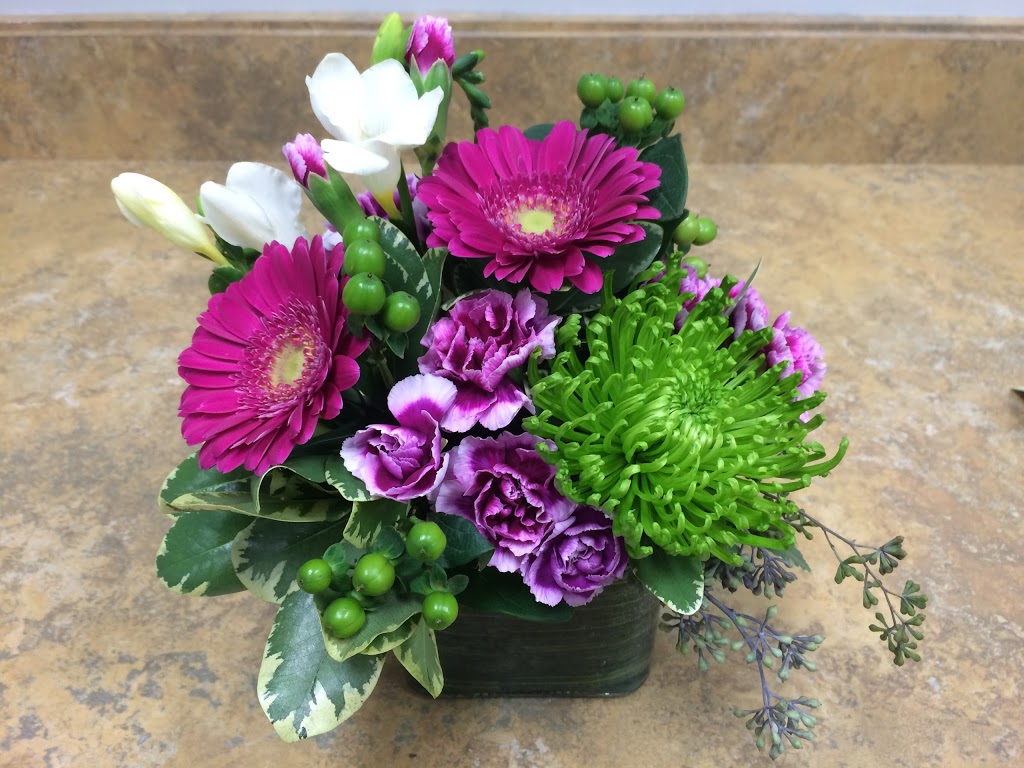 Stratford Blooms | 59 Albert St, Stratford, ON N5A 3K2, Canada | Phone: (519) 814-5000