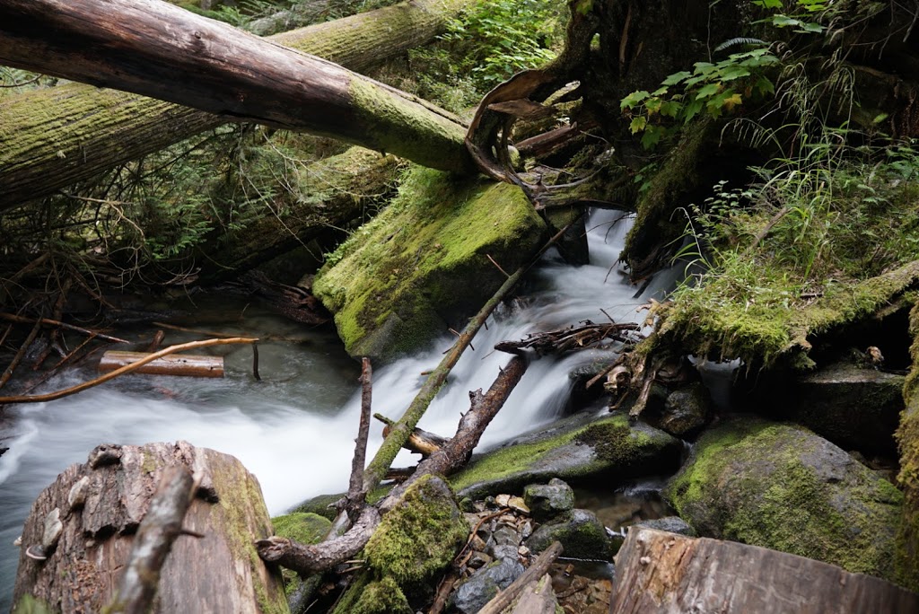 Chilliwack Lake Provincial Park | Trans Canada Trail, Rosedale, BC V0X 1X0, Canada | Phone: (604) 986-9371