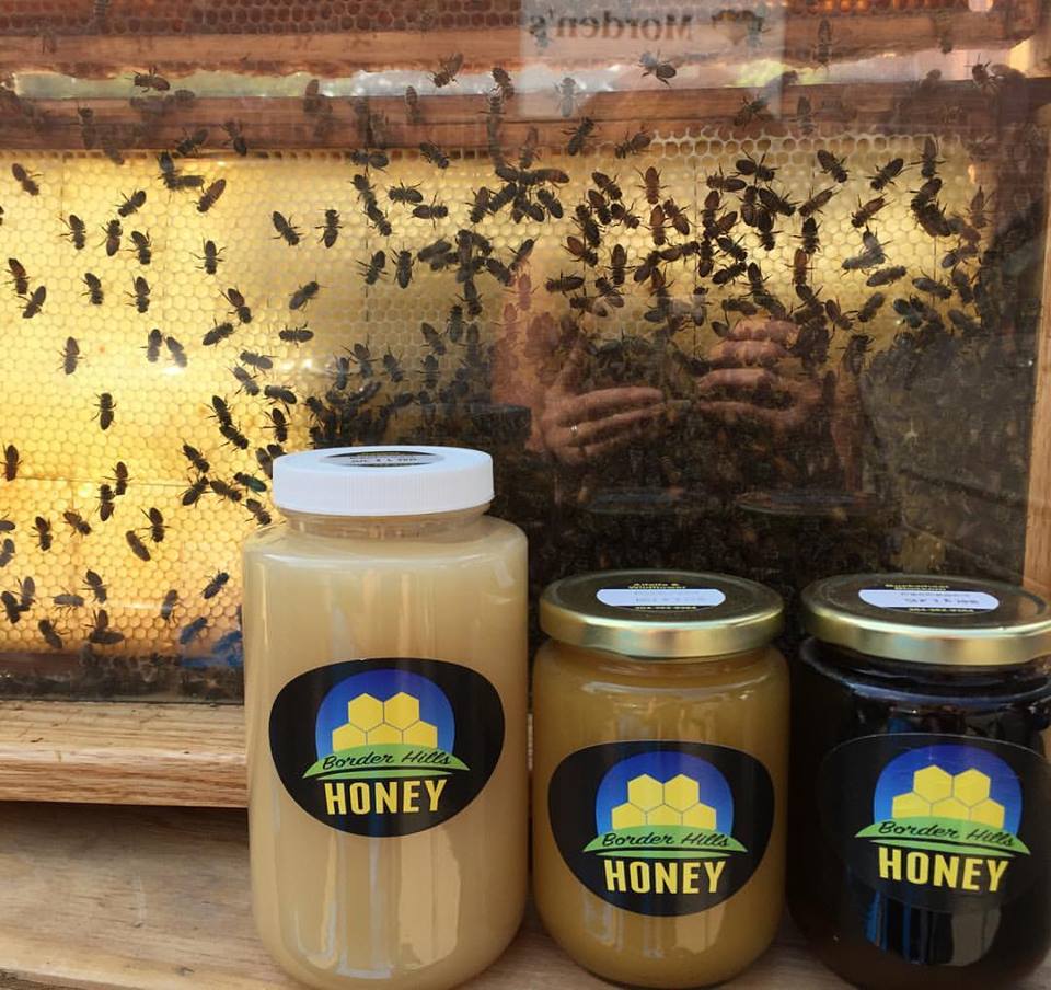 Border Hills Honey Ltd. | 23060 Road 17 West RM of, Roland, MB R0G 1T0, Canada | Phone: (204) 362-9364