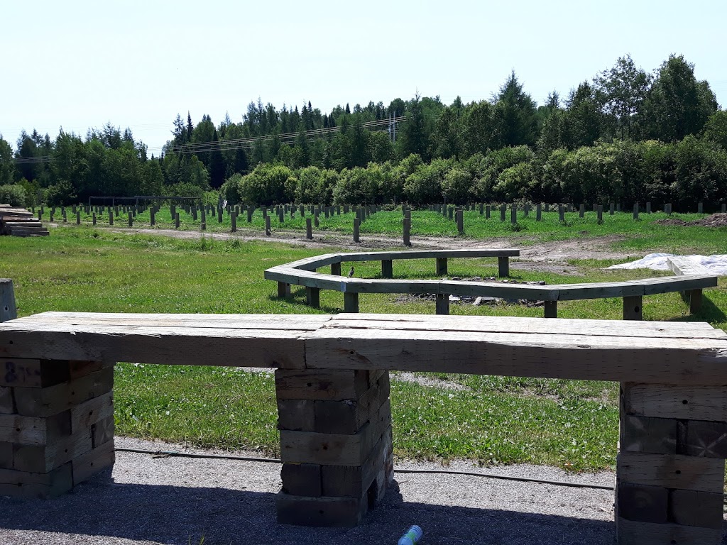 Vignoble Spirit Léonard | 592 Montée des Paysans, Labelle, QC J0T 1H0, Canada | Phone: (819) 686-3350