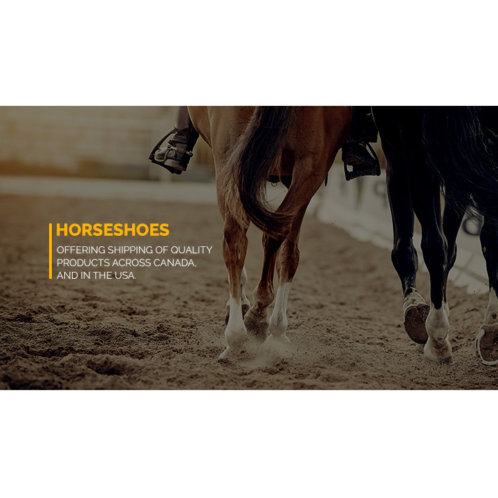 Cornerstone Equine | 6594 Shelter Point Rd, Gillies Bay, BC V0N 1W0, Canada | Phone: (778) 242-9864