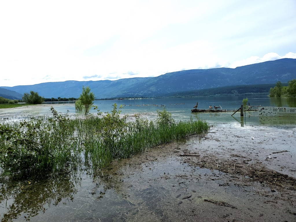 Foreshore/Raven Trail | 998 Harbour Front Dr NE, Salmon Arm, BC V1E 3L7, Canada | Phone: (250) 803-4000