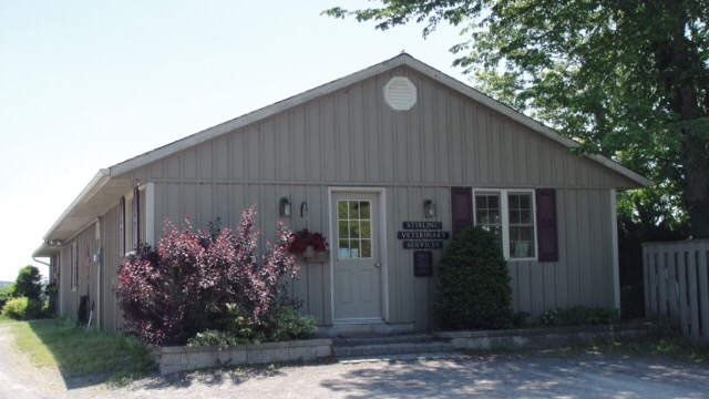 Stirling Veterinary Services | 36 Wilson Rd, Stirling, ON K0K 3E0, Canada | Phone: (613) 395-2716