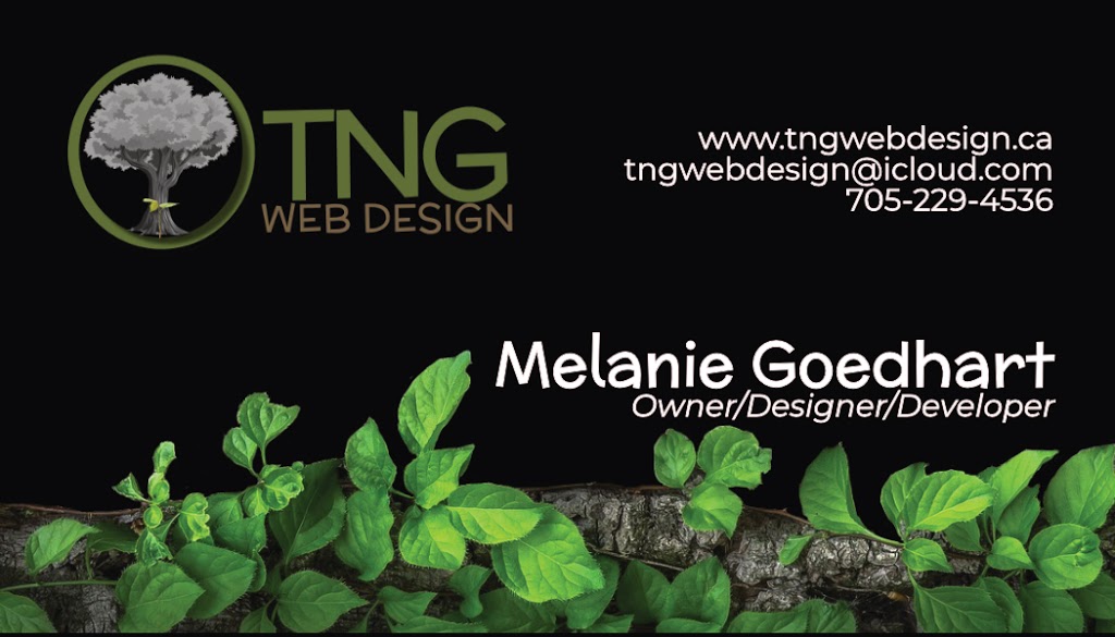 TNG Web Design | 23 Heritage Ct, Barrie, ON L4N 0E7, Canada | Phone: (705) 229-4536