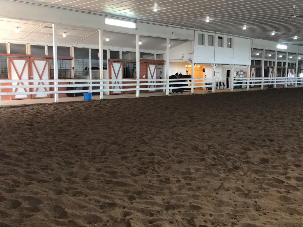 Summit Equestrian | 2007 7 Ave, Didsbury, AB T0M 0W0, Canada | Phone: (403) 350-5605