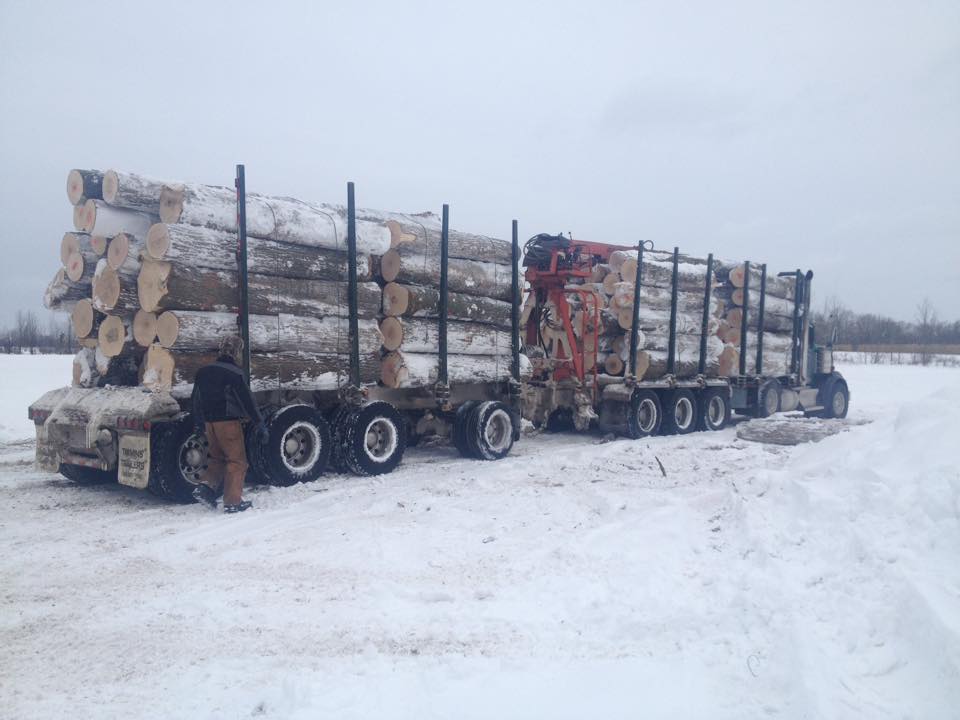 Bester Forest Products Ltd | 1559 Bruce County Rd 3, Walkerton, ON N0G 2V0, Canada | Phone: (519) 881-0302